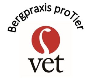 Logo-Bergpraxis